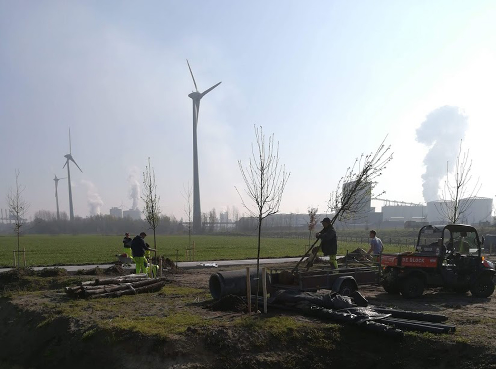 Aanplanten bomen