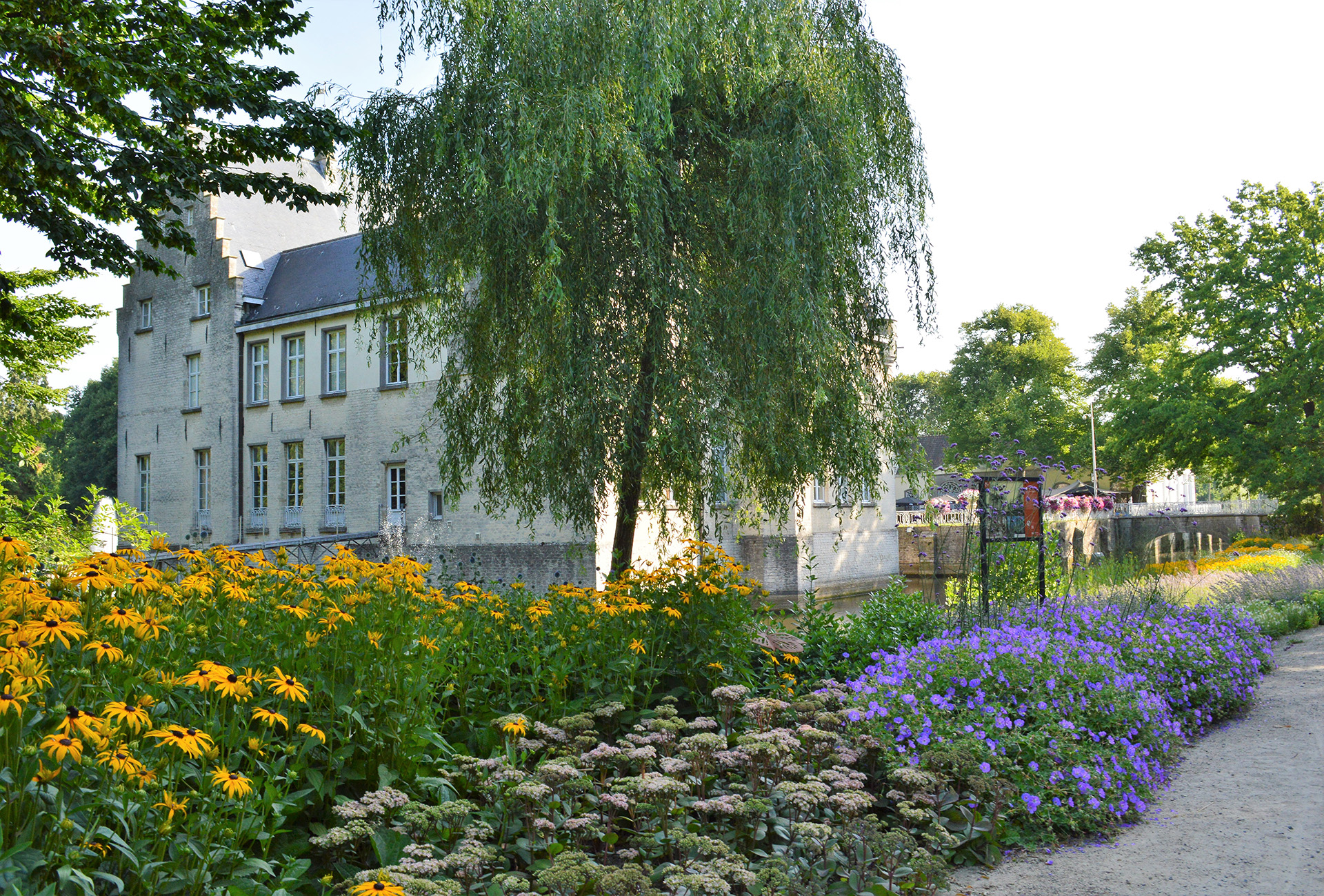 Bloemperken en vlinderstruiken in park Cortewalle 