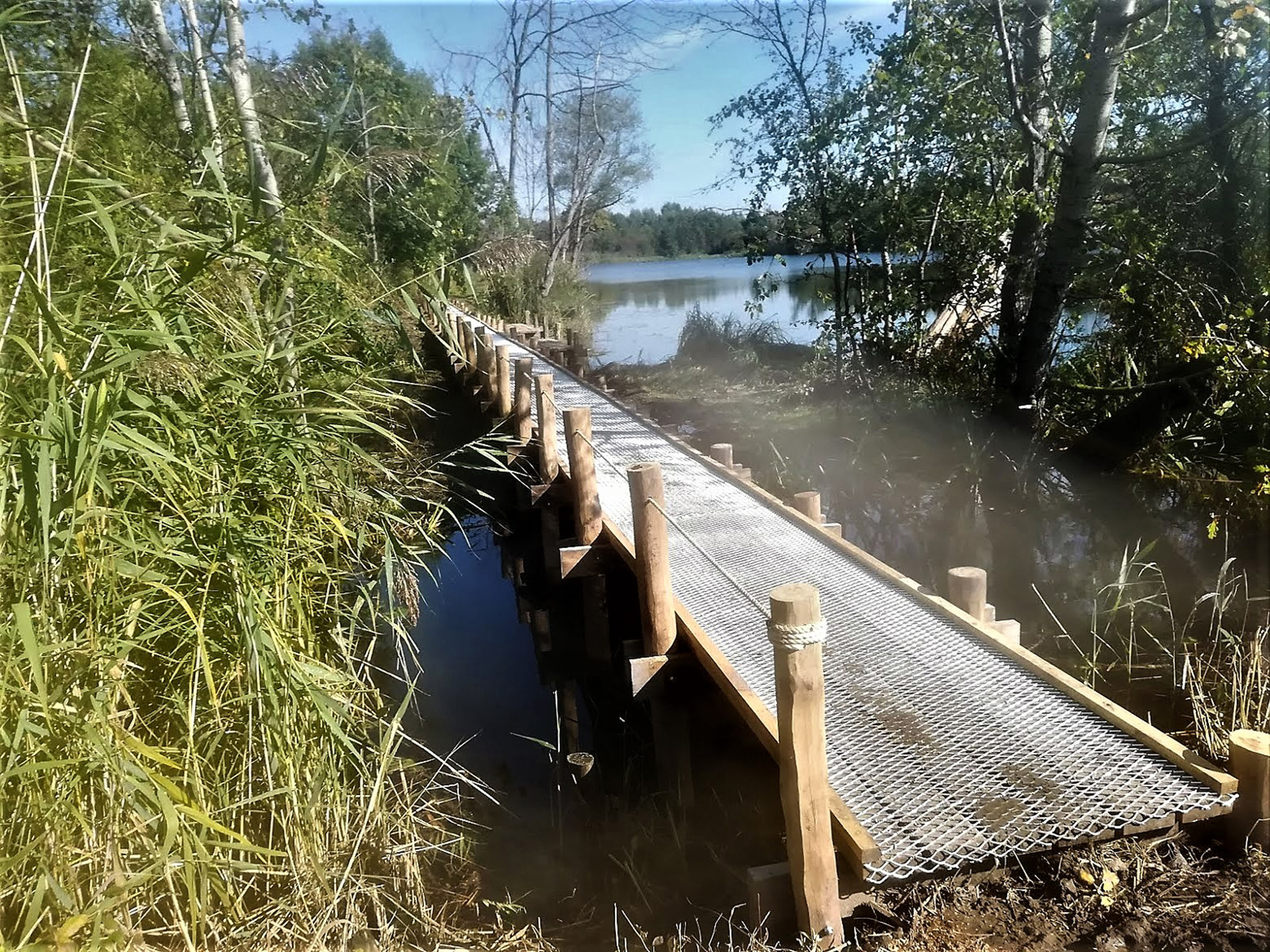 Houtconstructie plankenpad op palen in natuurdomein