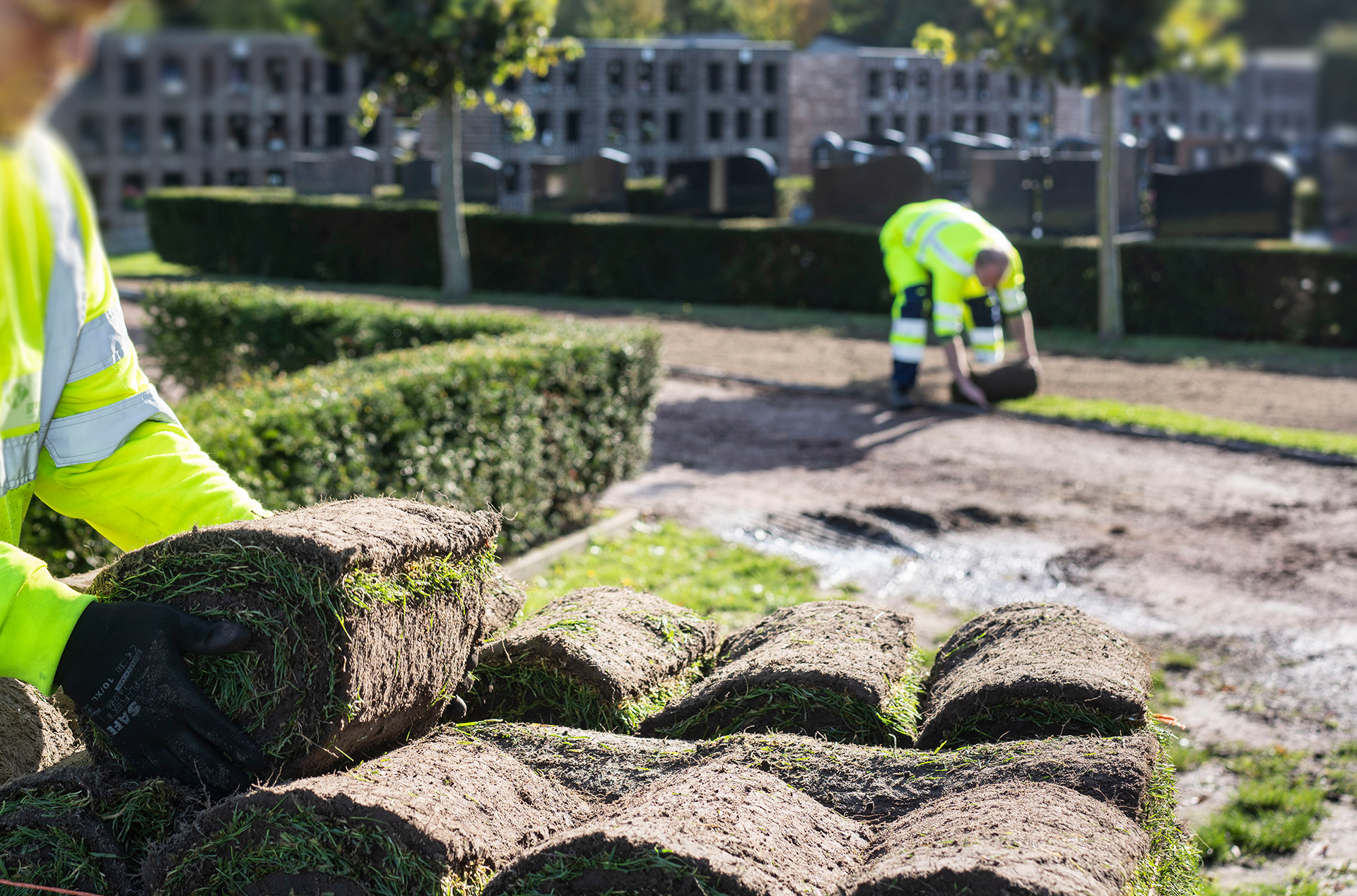 Grasrollen voor aanleg gazon