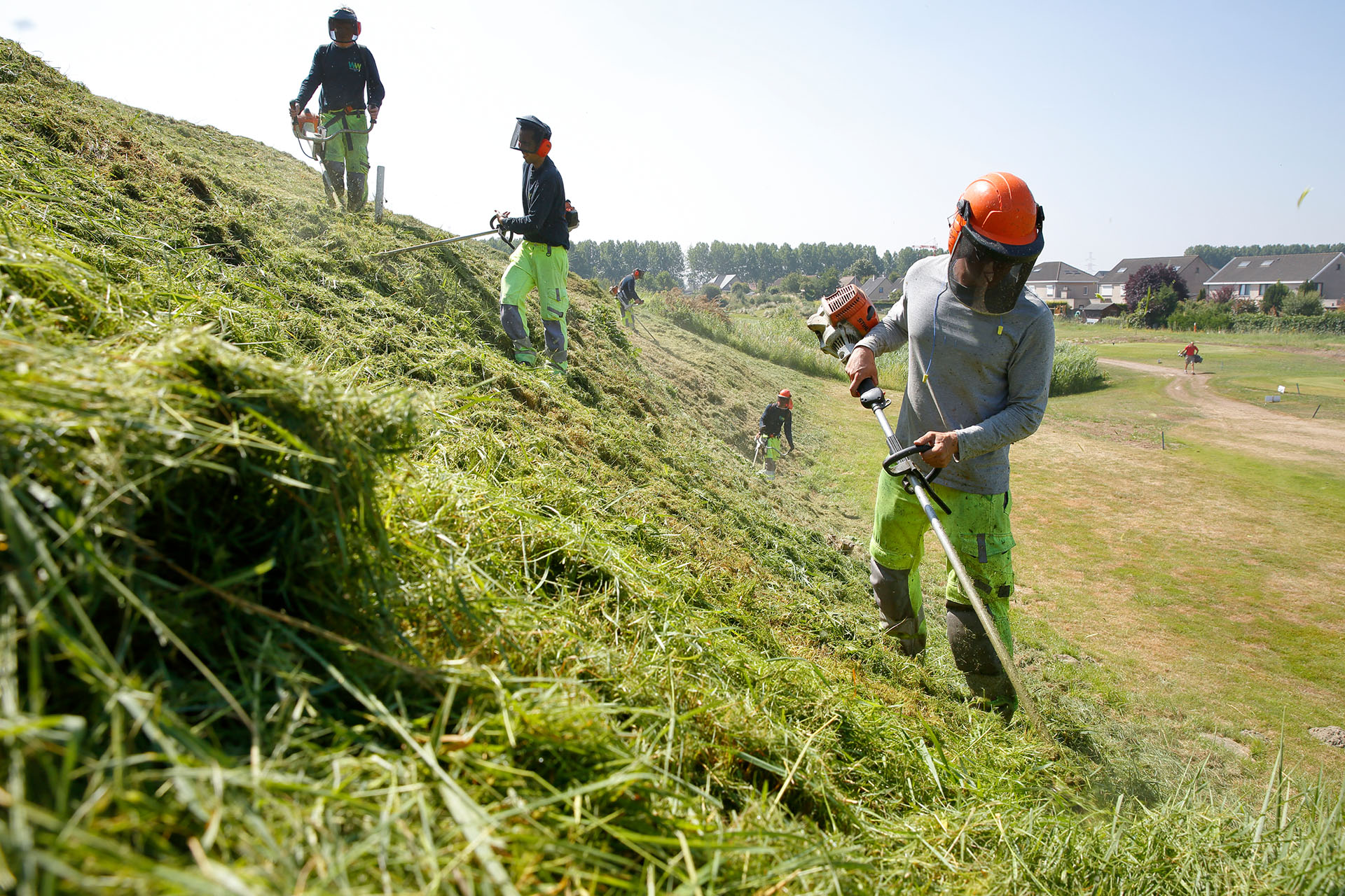 Maaiwerken golfterrein en grasland