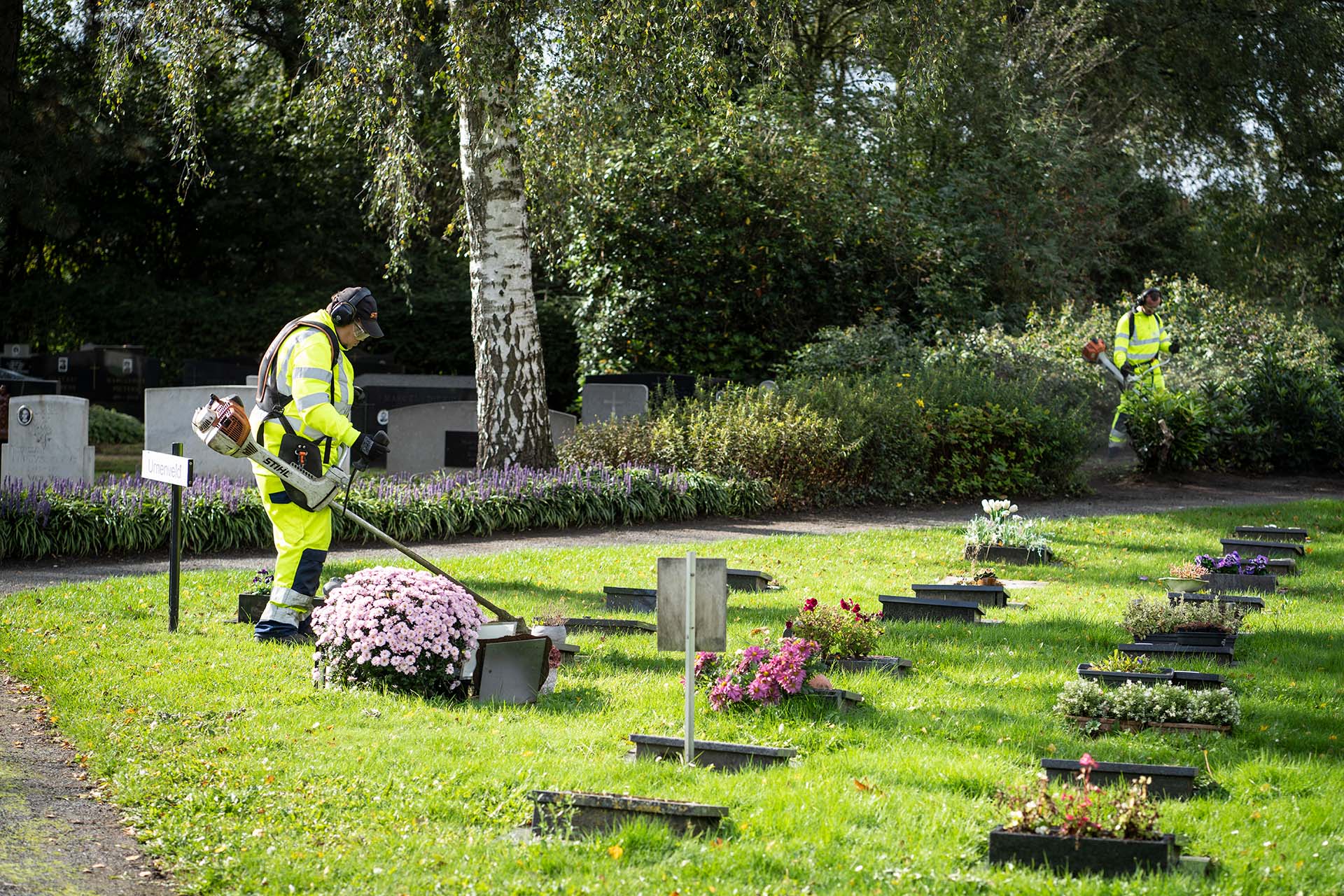 Onderhoud plantsoenen, perken en bloembedden