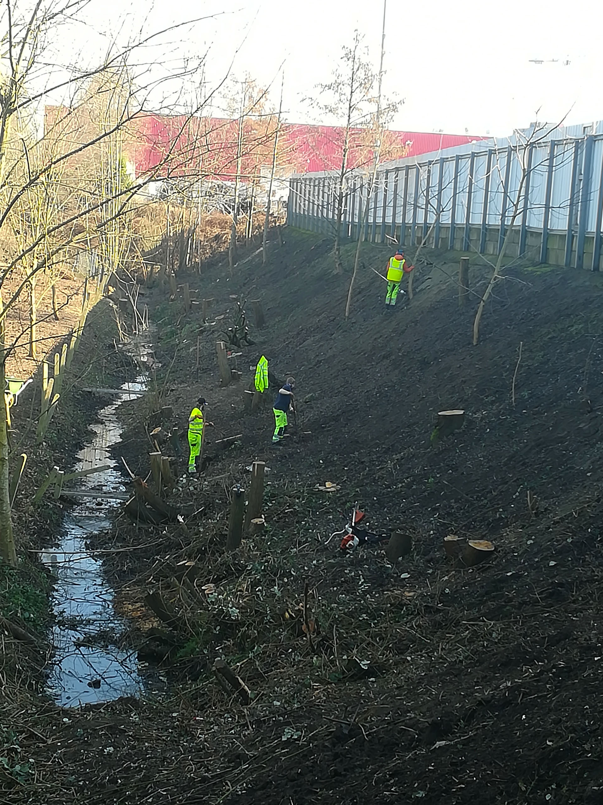 Grootschalig aanplantingsproject bomen